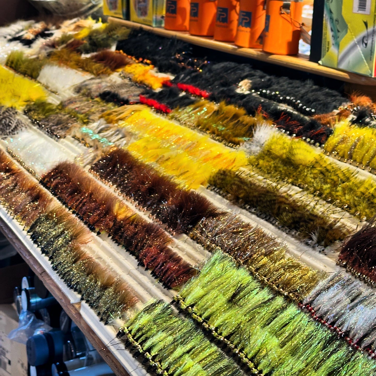 Blackfoot River Fishing Report – February 2026