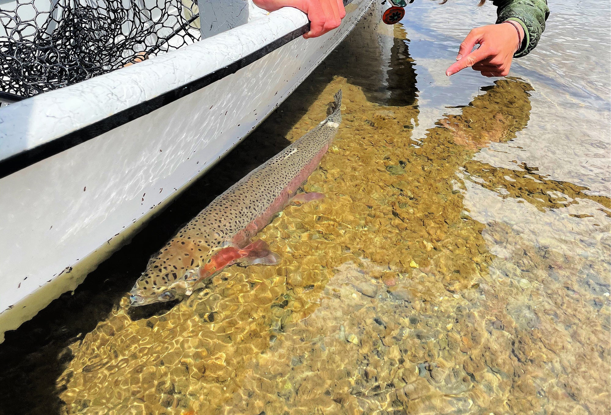 June 29th West Fork Fishing Report