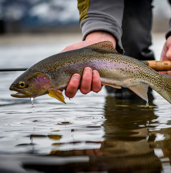 June 12th Fishing Report