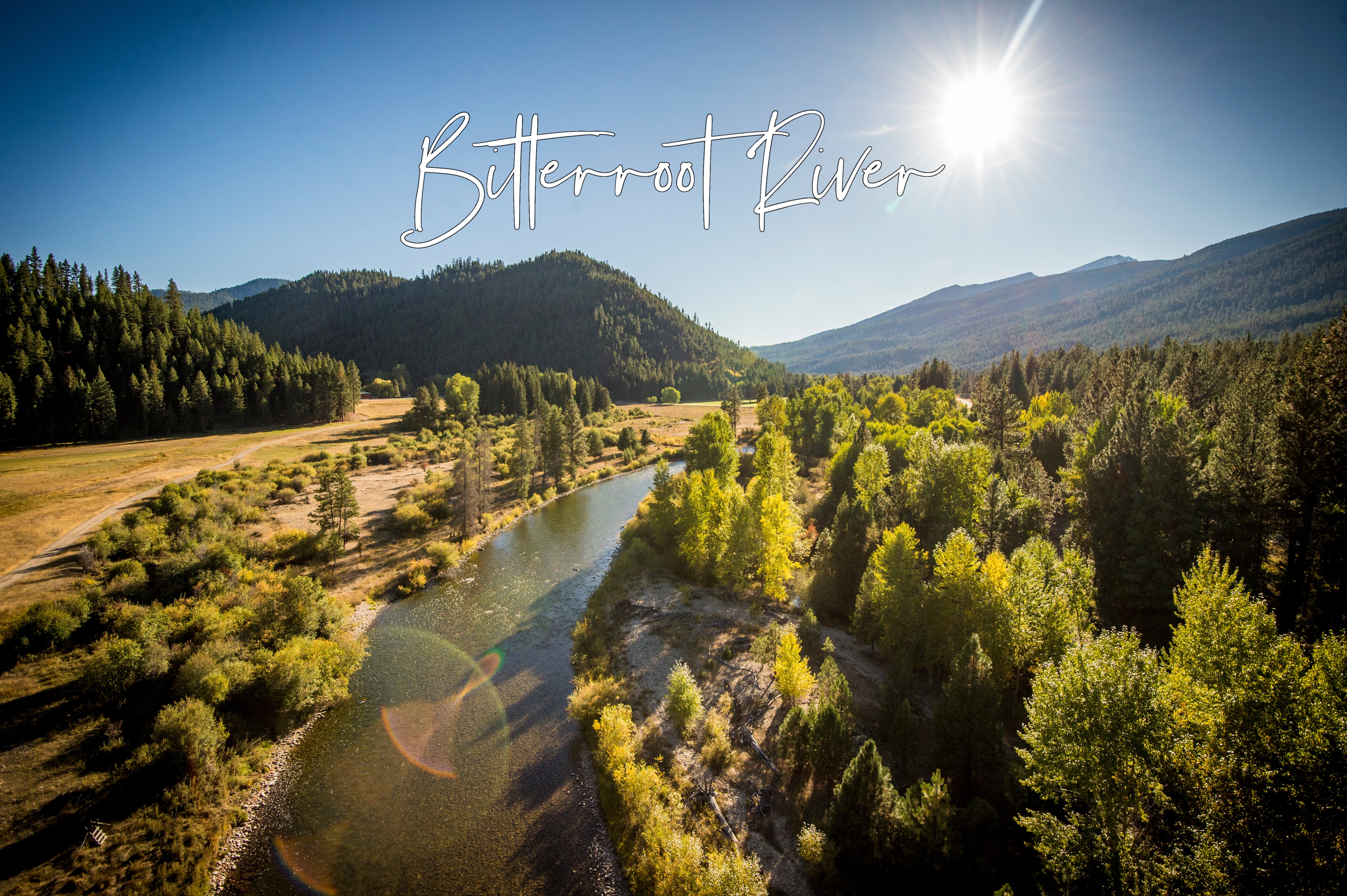 Rio Preception Elite Fly Line – Freestone Fly Shop