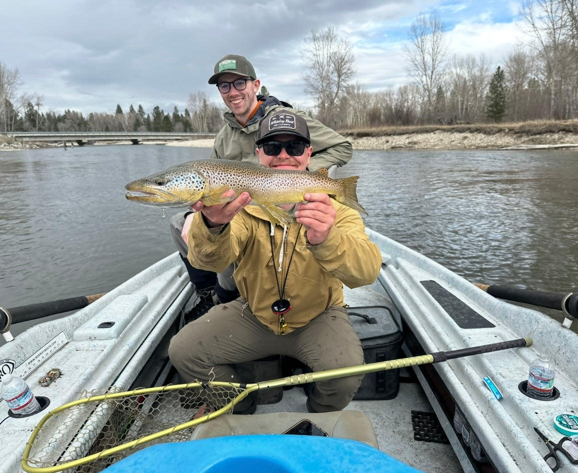 Two anglers in a boat on a river holding a large brown trout with leafless trees and cloudy sky in the background