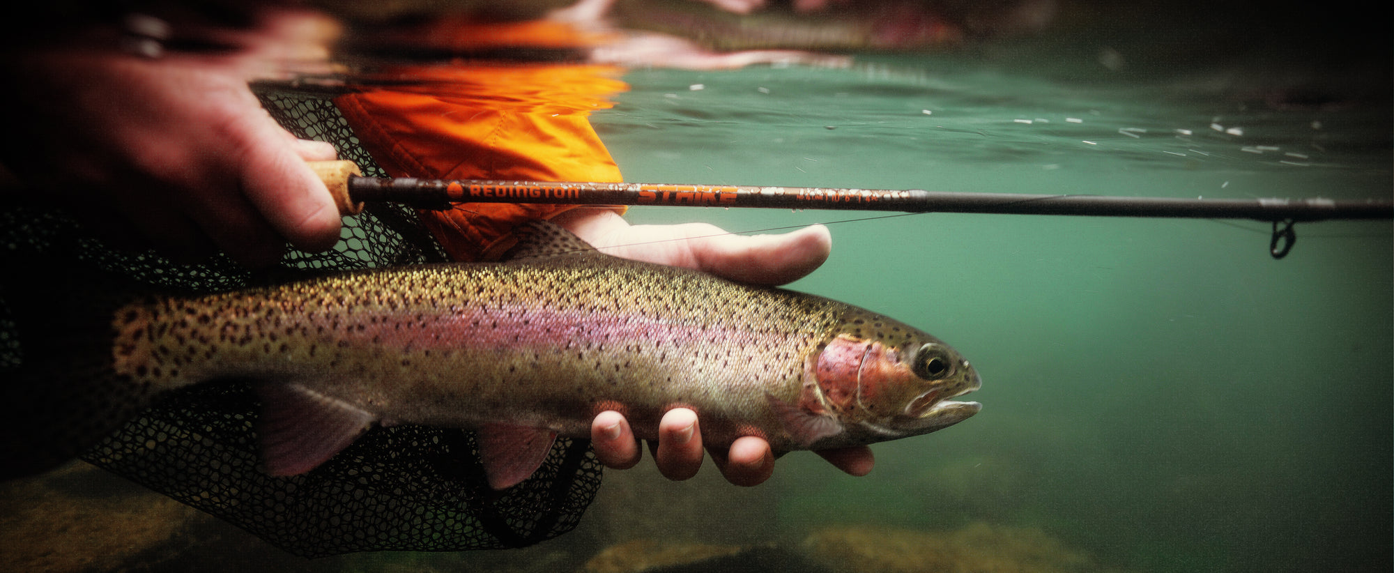 Underwater close-up of hands holding rainbow trout beside orange fly rod over rocky riverbed