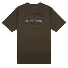 Patagonia Framed Fitz Roy Trout S/S Tee